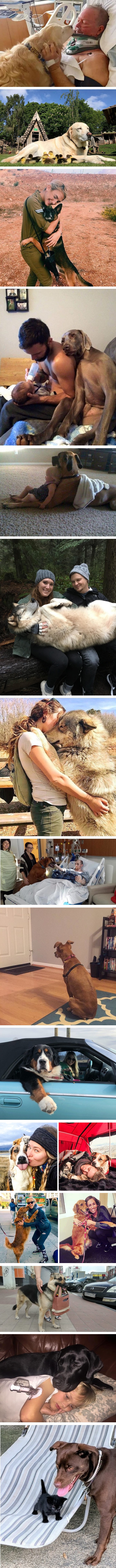 Ove preslatke fotke dokaz su da je pas doista čovjekov najbolji prijatelj