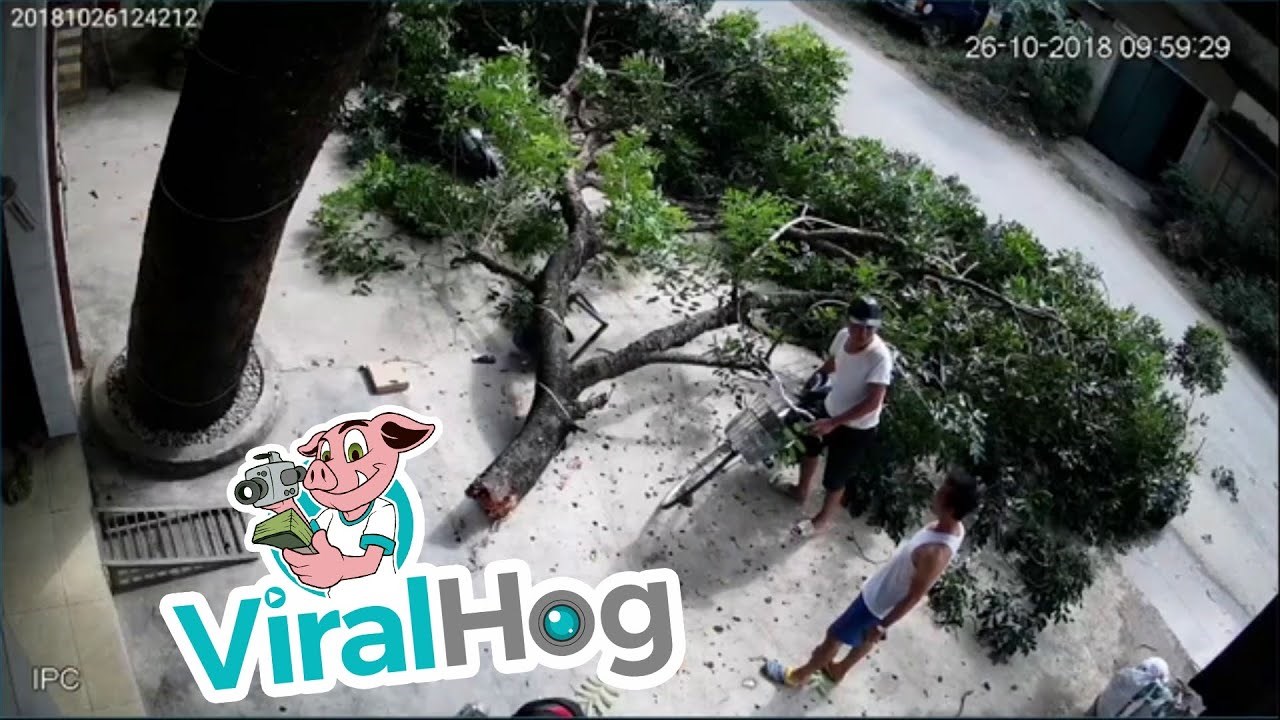 Falilo je samo nekoliko centimetara da gadno nastradaju, no imali su sreće