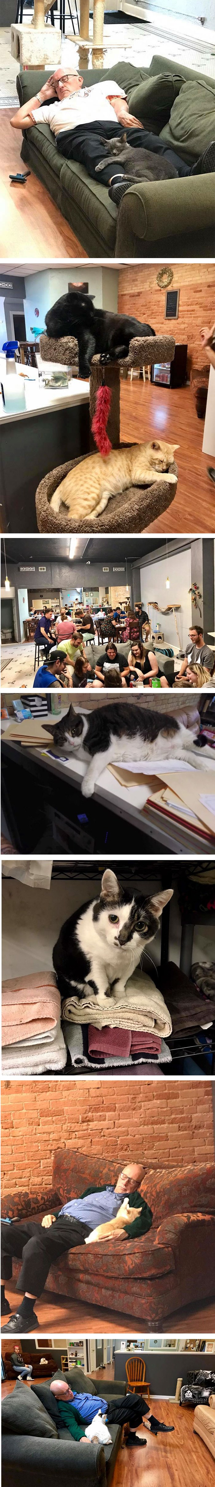 Djedica ima najbolji posao na svijetu na kojem mu mnogi zavide 