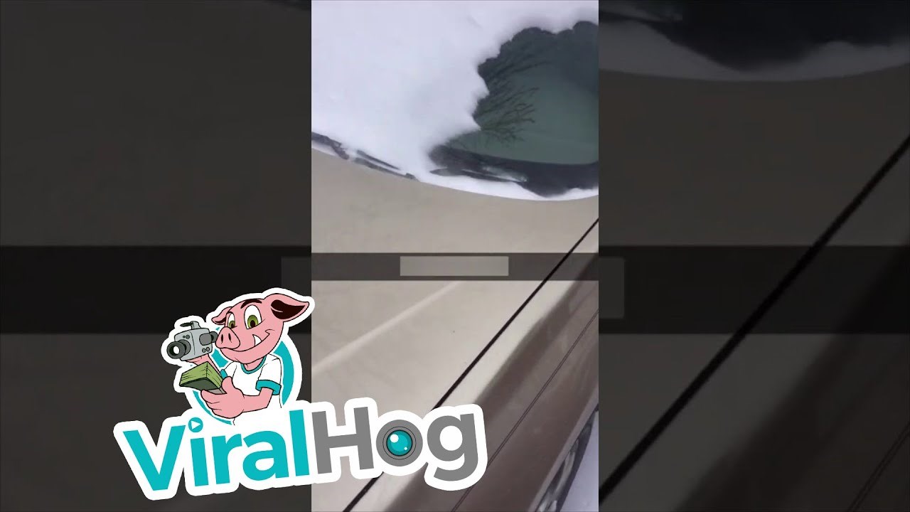 Očistio je snijeg s auta bez imalo problema i brže nego ikada, a trebala mu je samo jedna stvar 