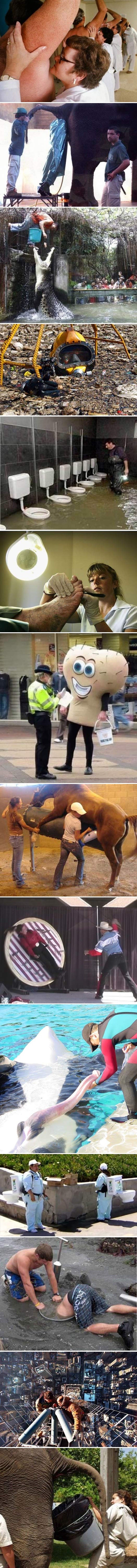 Fotografije najgorih poslova koje vjerojatno ne biste radili ni za puno veću plaću