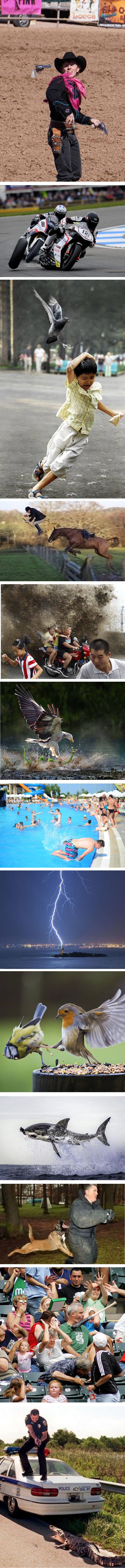 Autori ovih fotki nisu znali da će snimiti ovako zanimljive i zabavne prizore 