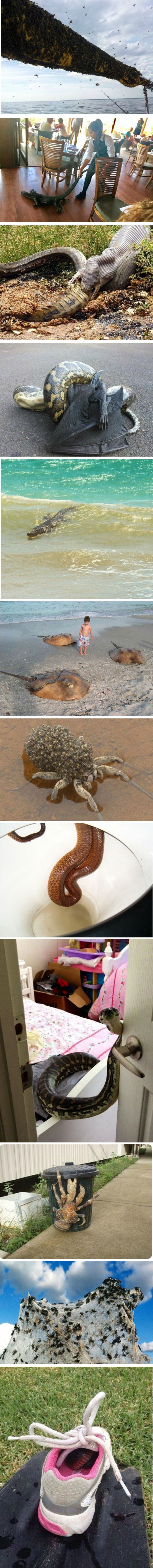 Ove su fotografije dokaz da je Australija jedno od najčudnijih mjesta na zemlji 