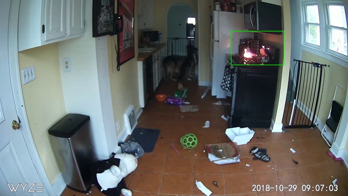 VIDEO Pas upalio štednjak i vrlo je malo falilo da zapali cijelu kuću