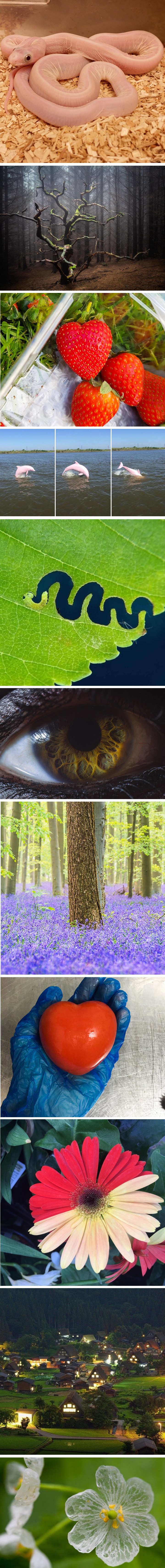 Ove naizgled obične stvari sjetit će vas da je svijet čudesno mjesto 