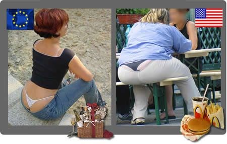 Razlika između Europe i Amerike objašnjena pomoću jedne slike