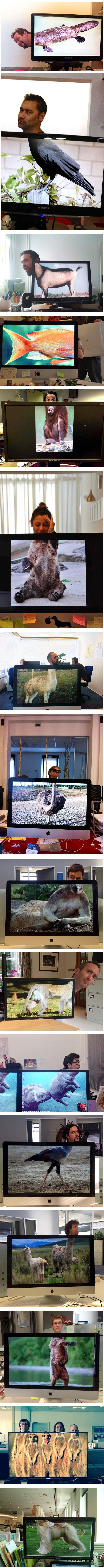 Evo što rade zaposlenici kada šefovi nestanu iz ureda