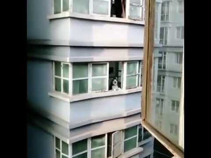 VIDEO Zavijao je na balkonu, a onda mu je uzvratio najslađi susjed