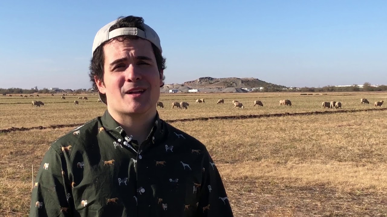 Izrugao je vlastiti grad u videu pa završio na naslovnici lokalnih novina