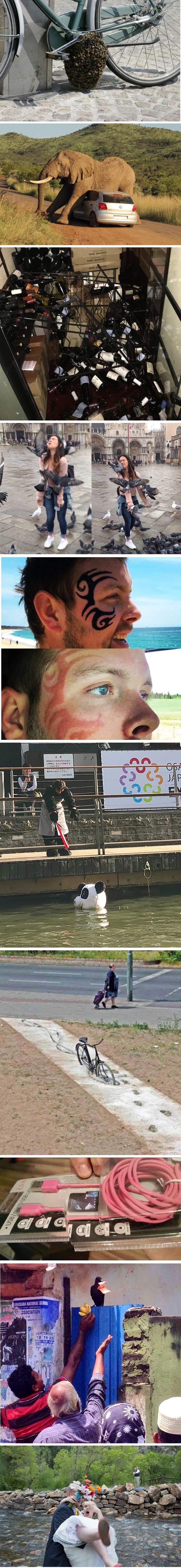 Ako mislite da imate loš dan, morate pogledate njihove fotografije