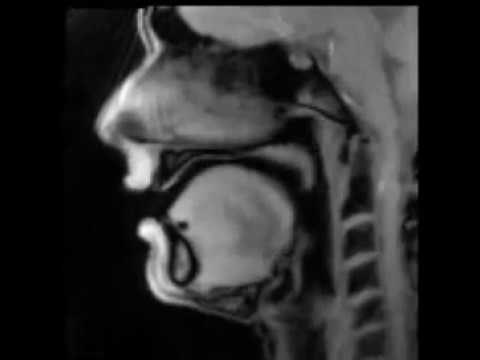 VIDEO Ovako izgleda jezik čovjeka tijekom razgovora 