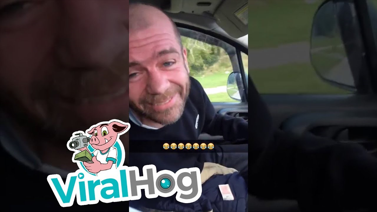 Pijani Englez lupio glavom o prednje staklo, vozač umro od smijeha kad je vidio posljedice 