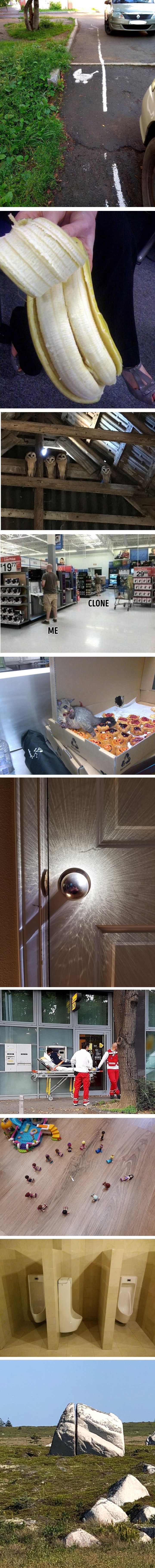 Vidjeli su vrlo čudne stvari i prizore koje su morali podijeliti s ostatkom svijeta