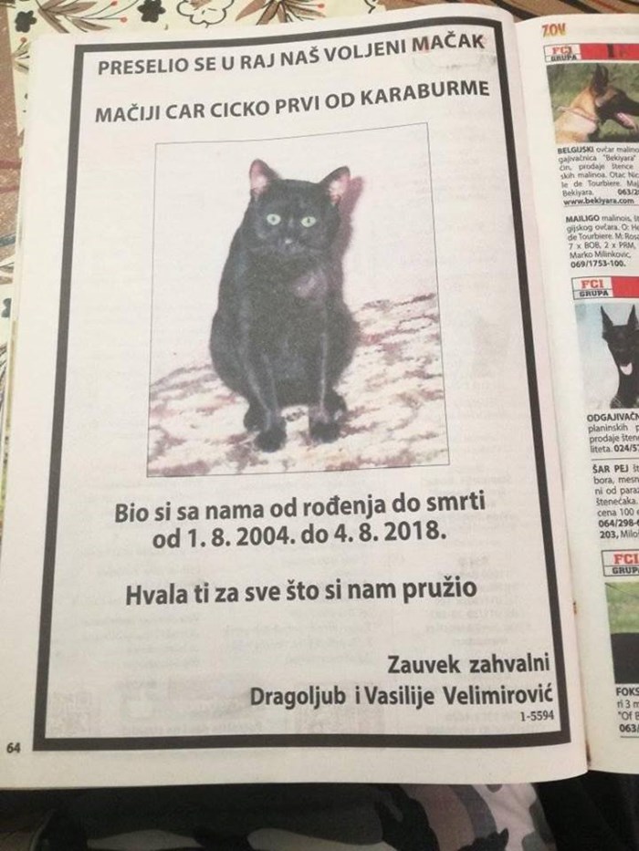 U novinama objavili osmrtnicu voljenog mačka pa postali hit na internetu 