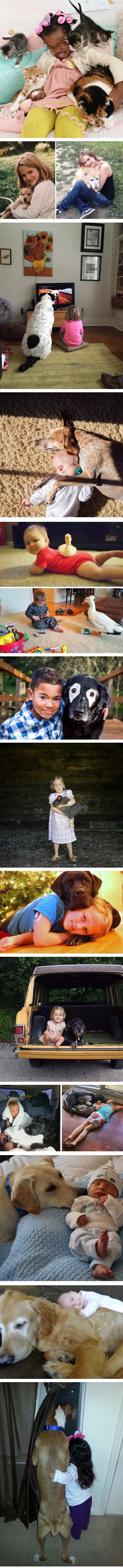 Preslatki ljubimci najbolji su i najvjerniji prijatelji svojim malenim vlasnicima