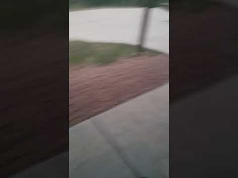 Izašla je iz kuće kako bi pozdravila psa, no susrela se s nečim posve drugim