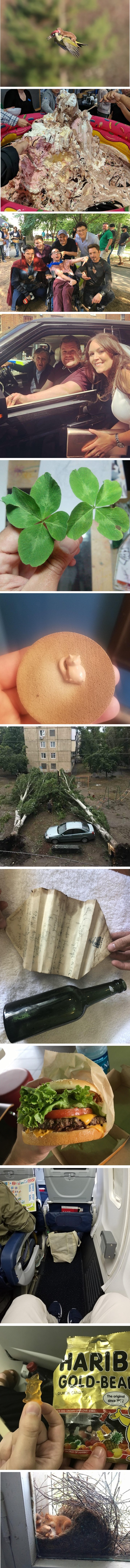 Dobili na lutriji: Oni su fotkali rijetke situacije i pojave koje bi svi voljeli doživjeti 