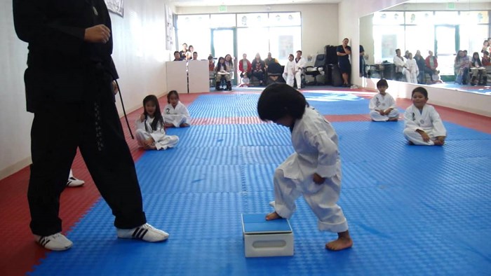 Mali Taekwondo majstor pokušao je slomiti ploču, ono što se dogodilo nasmijalo je sve prisutne