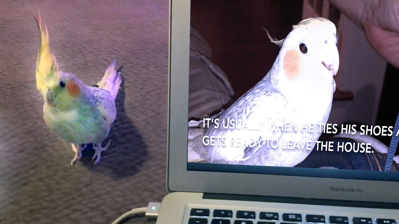 Prije samo nekoliko dana njezin je video postao viralan, a ovako ona reagira na njega