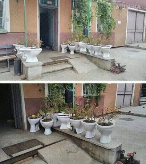 Kreativnost na vrhuncu: Ovakve lončanice još niste vidjeli