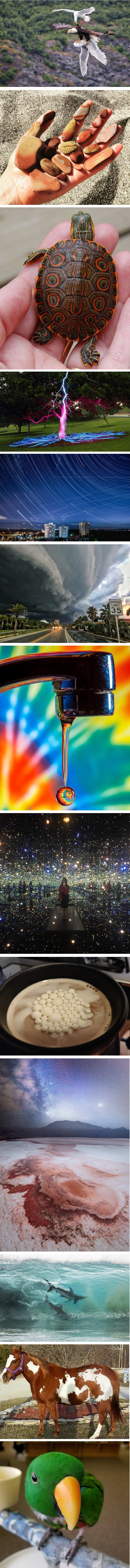 Ove hipnotizirajuće fotke sjetit će vas da je svijet prepun čarolija