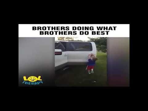 S braćom nikada nije dosadno, a ovaj je video pravi dokaz za to 