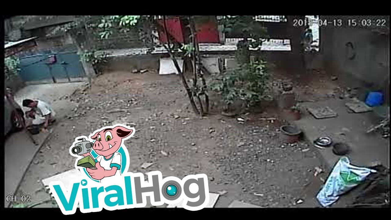 Čovjek je prao auto, a onda ga je nešto toliko preplašilo da se morao popeti na vozilo