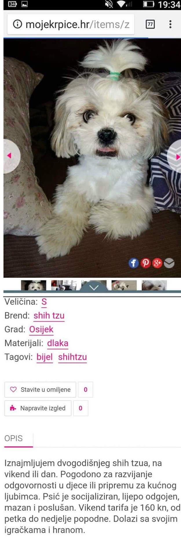 Na internetu se pojavio oglas za psa koji će vas ostaviti bez teksta 