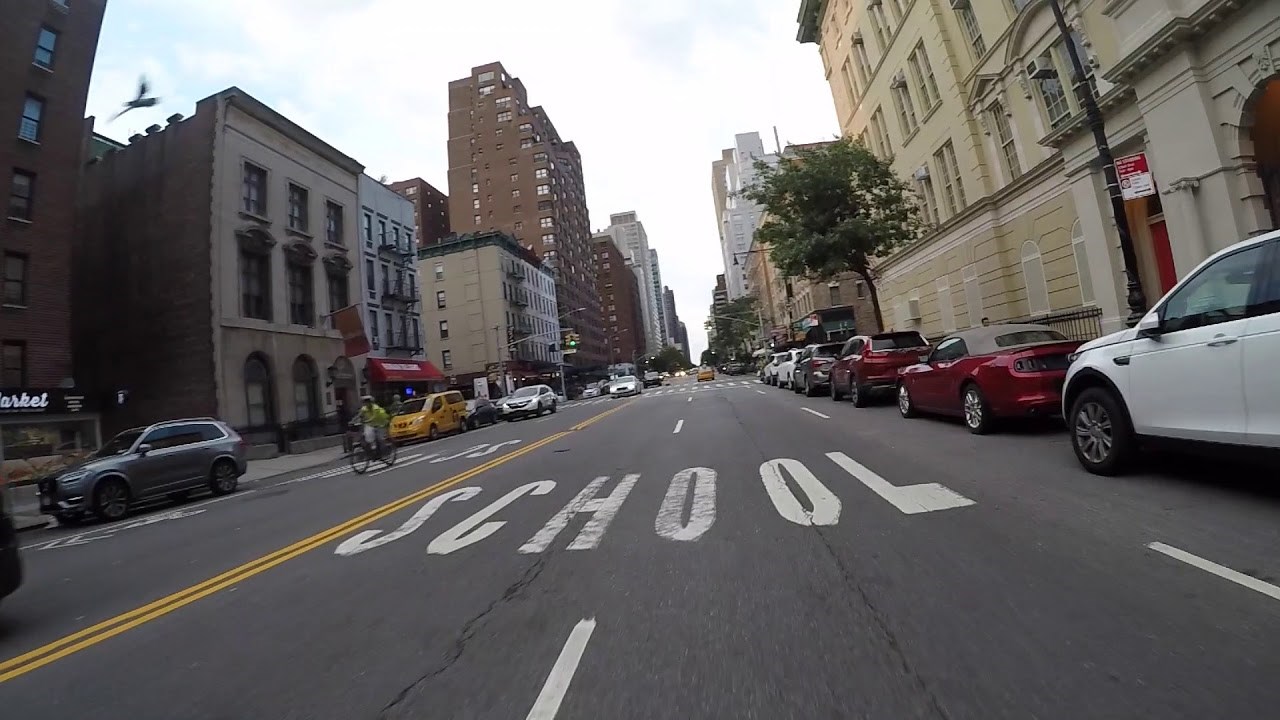 Odbjegli psić napravio kaos na ulicama New Yorka, a deseci ljudi pokušavali ga uloviti 