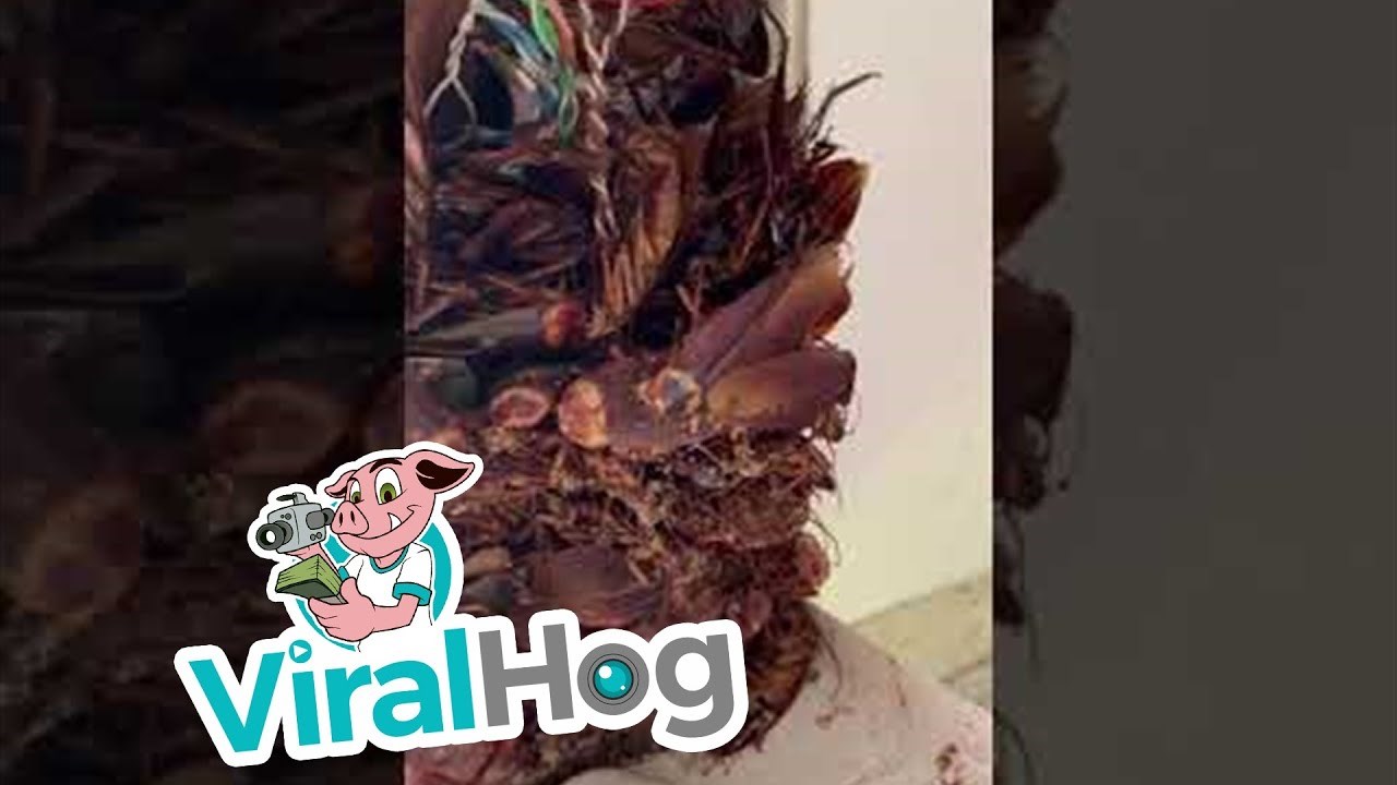 Došli su renovirati kuću pa u telefonu pronašli nešto od čega će vam pozliti 