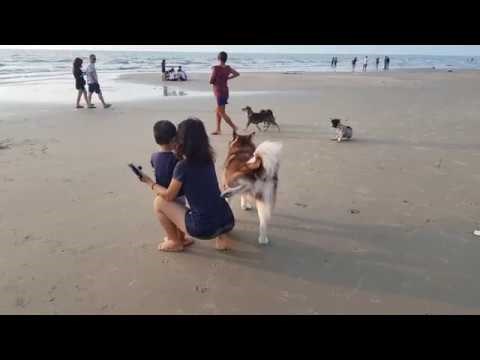 Ovaj je pesonja odlučio pozdraviti prolaznicu na vrlo nepristojan način