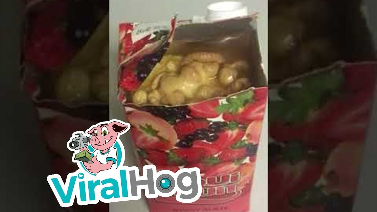 Nakon što su pronašli ovu gadost, prestali su kupovati sok u tetrapaku 