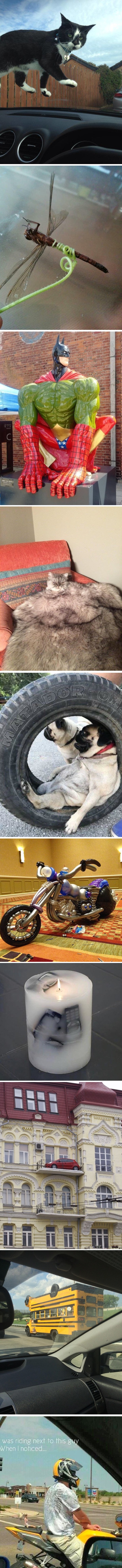 Ovi su ljudi zabilježili vrlo čudne prizore koji se teško zaboravljaju  