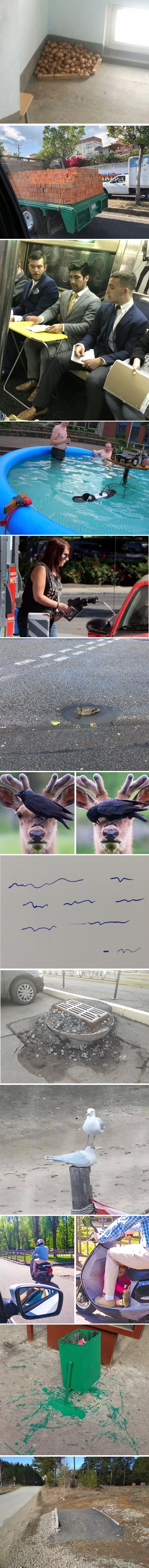 Oni sve rade na svoje načine i nije ih briga za pravila i potencijalne opasnosti