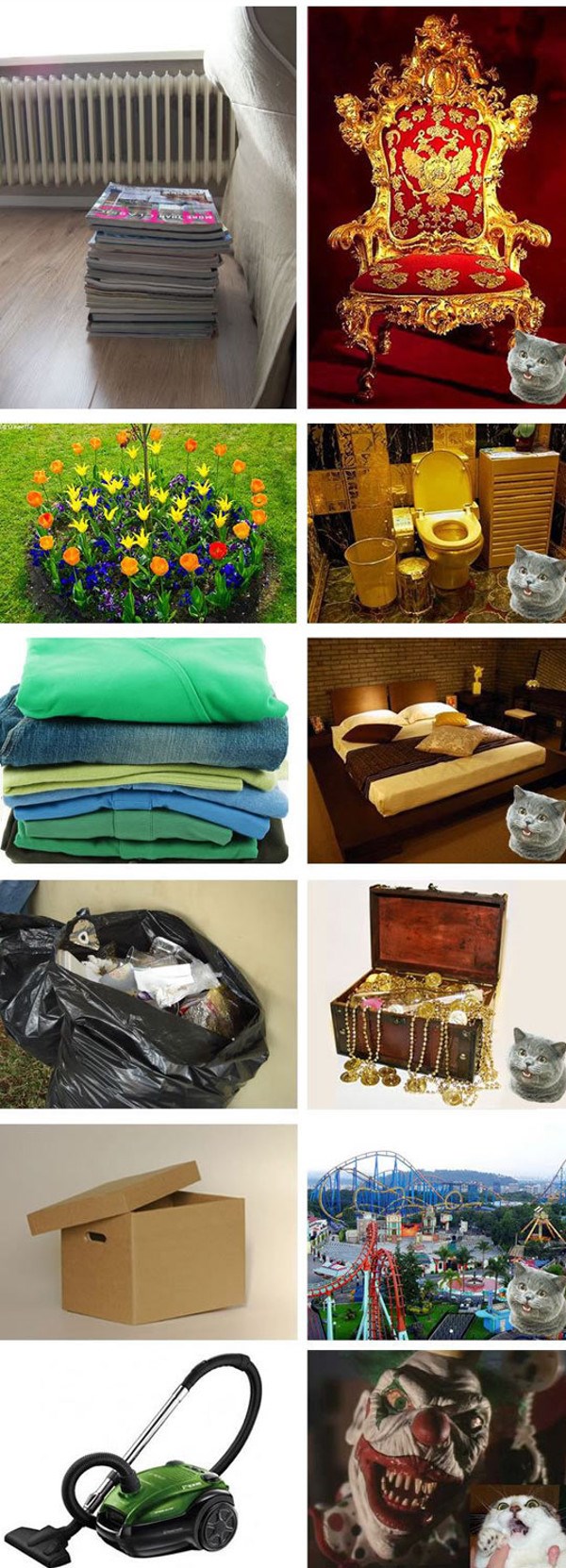 Saznajte kako svijet izgleda iz mačje perspektive