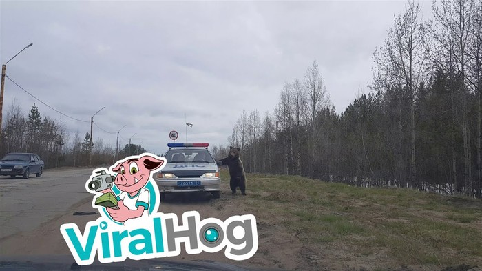 Ruski policajci dobili su neočekivanog posjetitelja i pozdrav kojem se nisu nadali