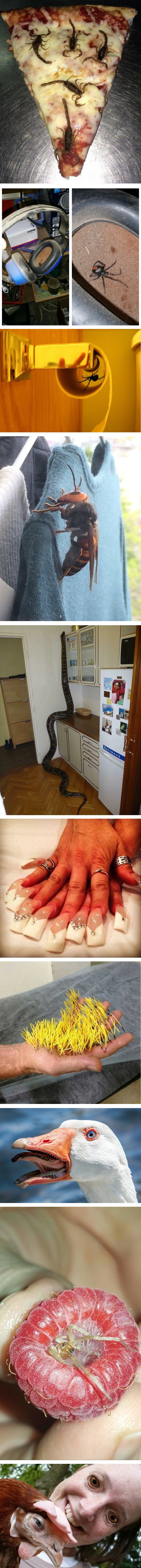 Deset jezivih fotografija koje će u vama izazvati strah i gađenje