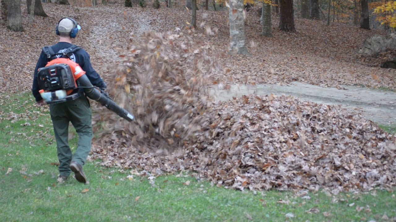 VIDEO Djeca su ocu priredila strašno iznenađenje dok je skupljao lišće