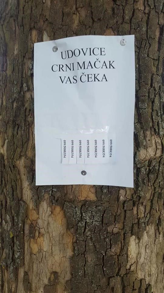Čovjek je poručio slobodnim ženama samo jednu stvar! 