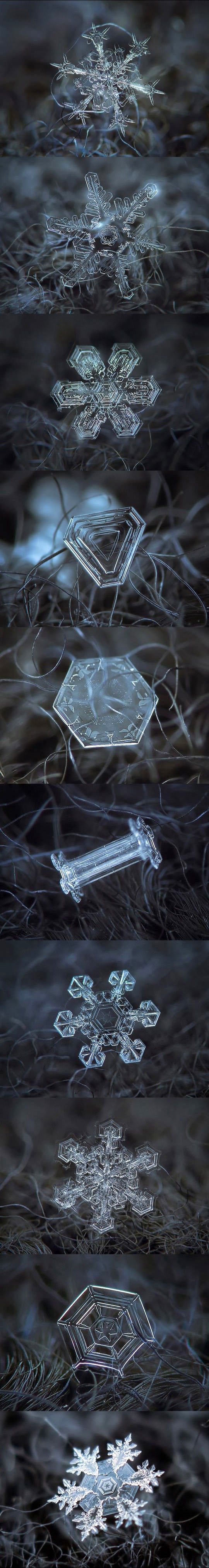 Ovako izgledaju pahulje snijega pod mikroskopom 