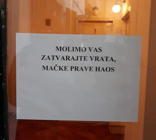 Zamolili su stanare da zatvaraju vrata, no ovaj puta nisu ljudi ti koji prave kaos