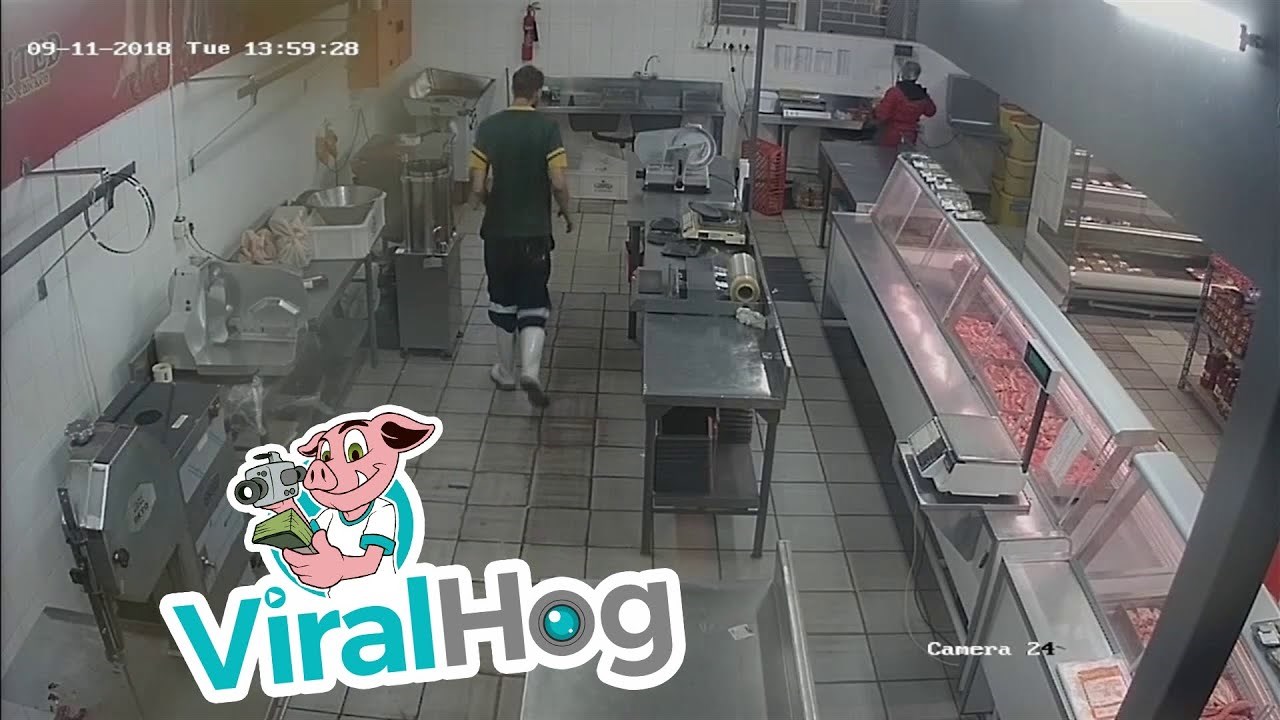 Usrala se od straha, a uzrok tomu su dvije obične mačke 