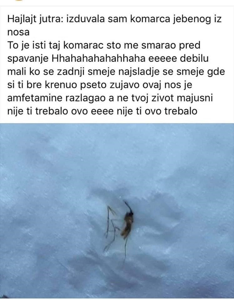 Pronašla je komarca u nosu pa napisala ljuti post o tome na Facebooku