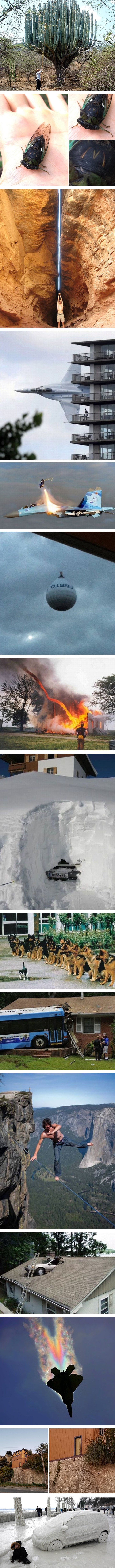 15 čudnih scena za koje nećete vjerovati da su se dogodile 