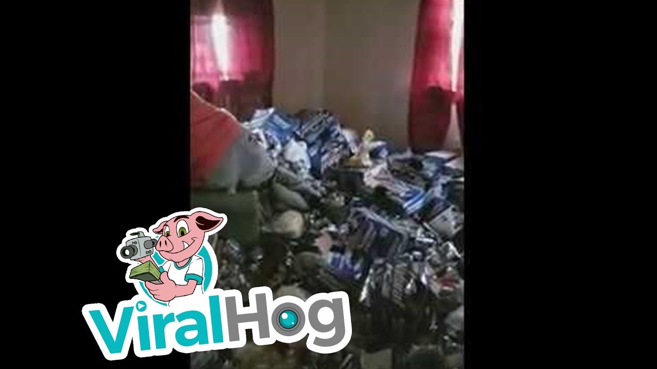 Dali su stan u najam, a ono što su zatekli tamo iznenadilo je cijeli svijet