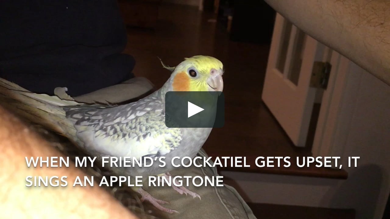 Kada je nervozna, ova nimfa uvijek čini istu stvar