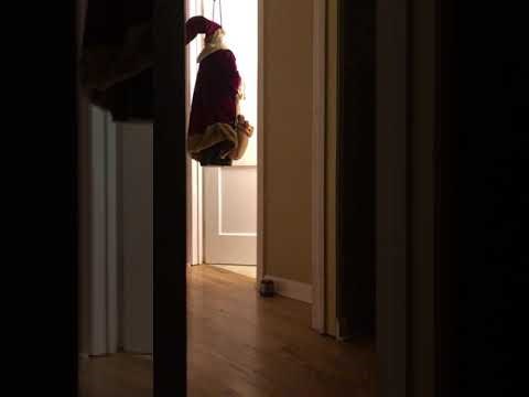 Preplašila ga božićnim ukrasom pa joj se odlučio osvetiti na gadan način