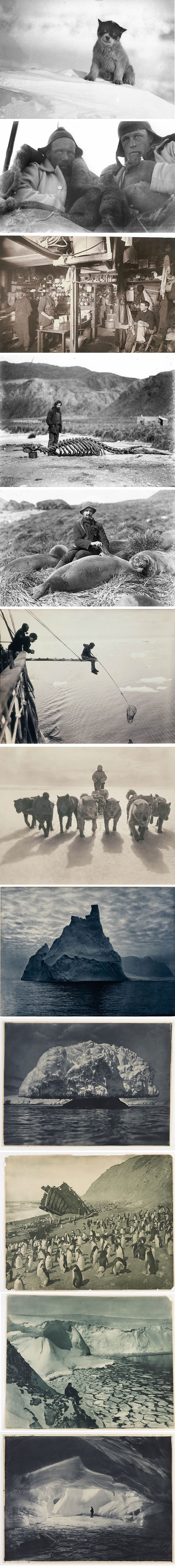 Rijetke fotografije prve australazijske ekspedicije na Antarktik