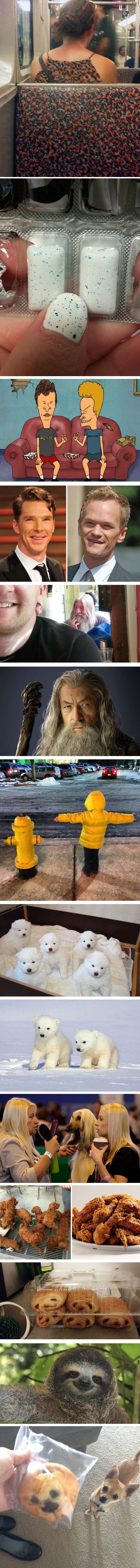 Nevjerojatne sličnosti i slučajnosti dokaz su da je svijet čarobno i čudno mjeseto