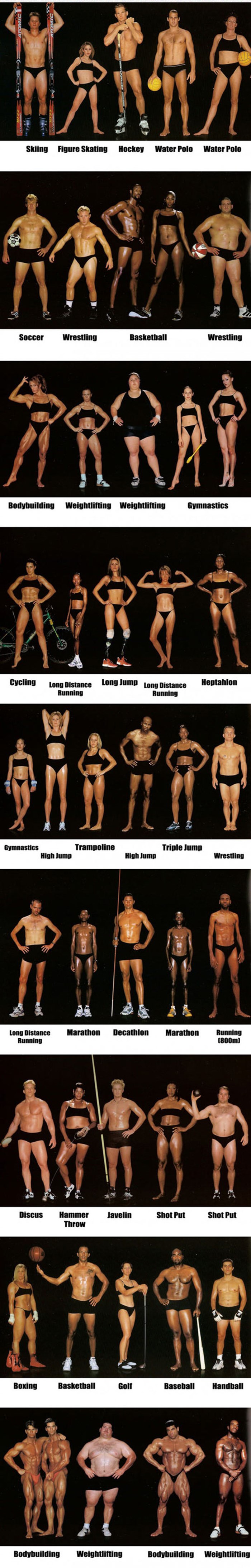 Ovako izgledaju tijela muškaraca i žena koji se bave različitim vrstama sporta